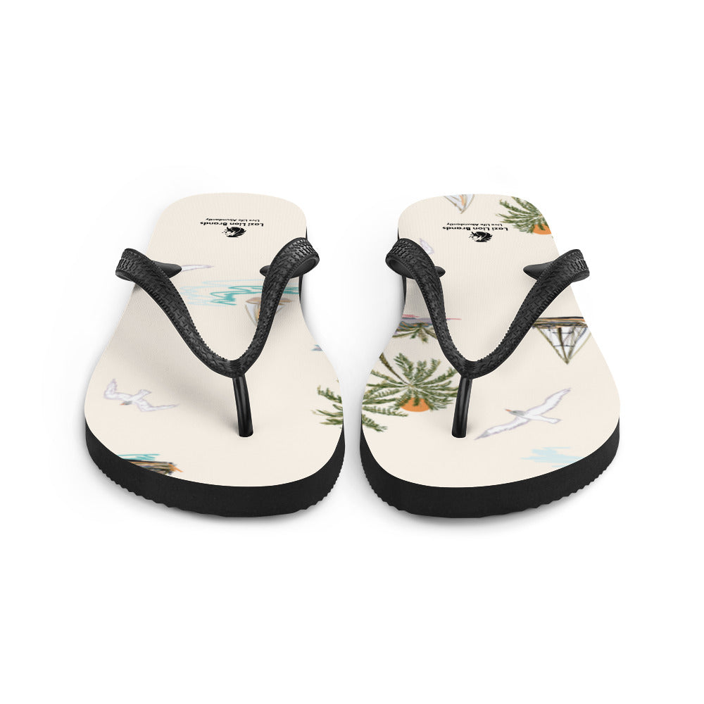 Flip-Flops