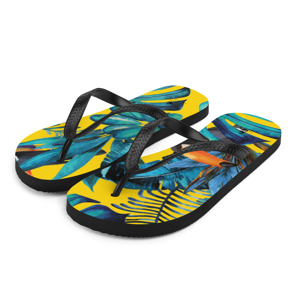 Flip-Flops