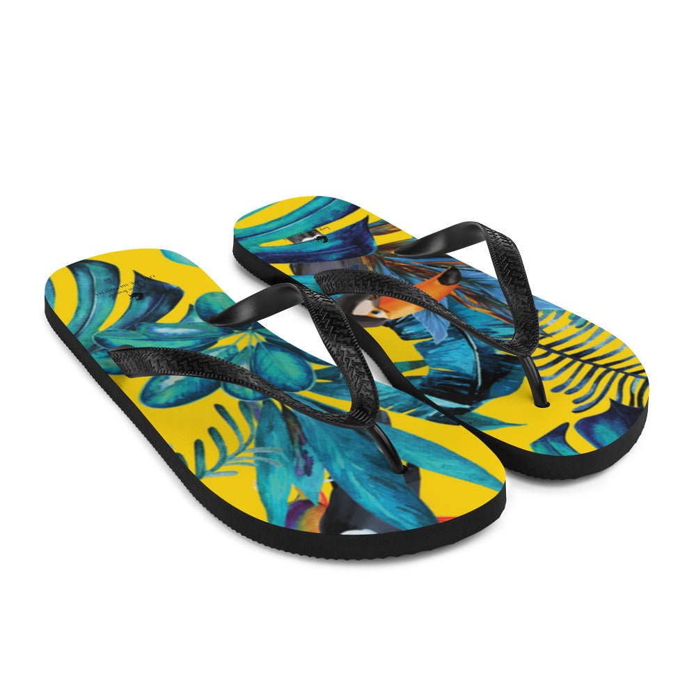 Flip-Flops