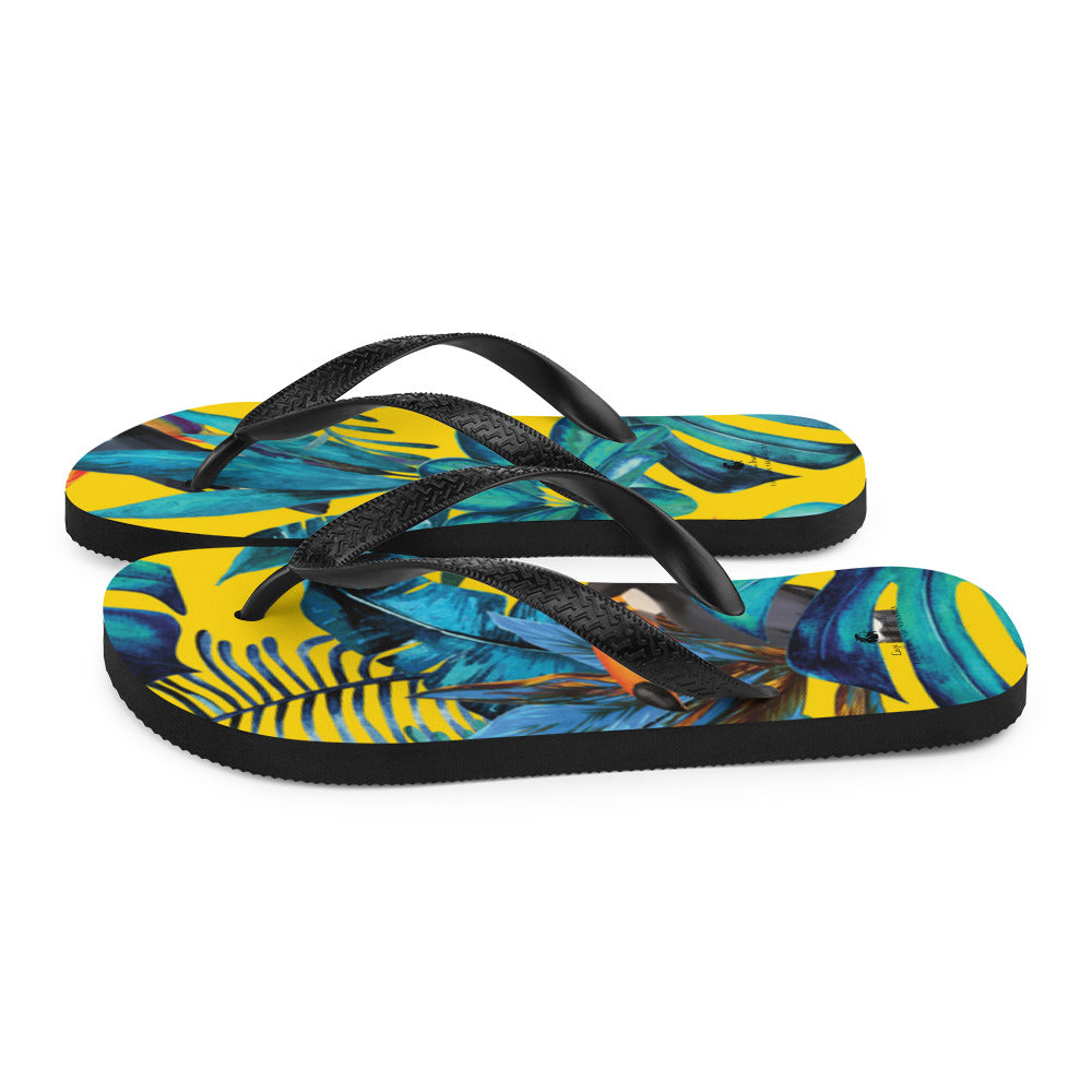Flip-Flops