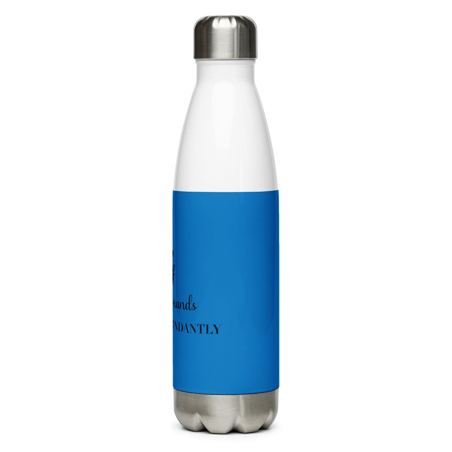 Stainless Steel Water Bottle